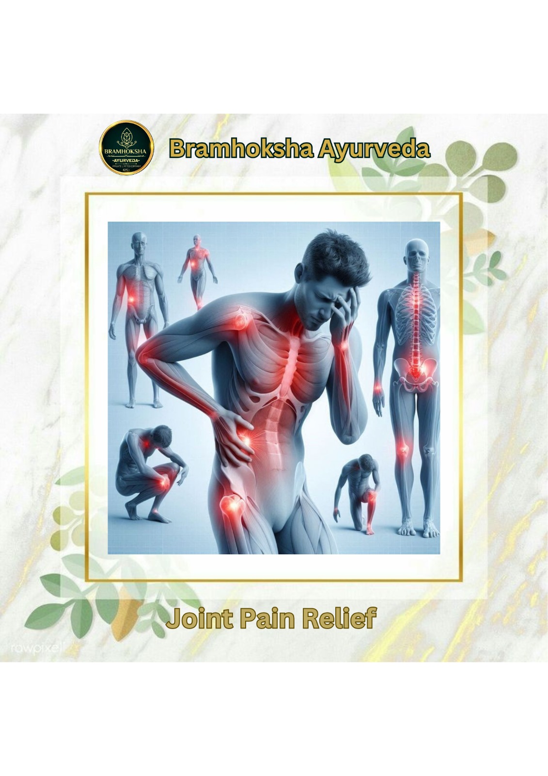 WhatsApp Image 2025-02-24 at 2.48.23 PM