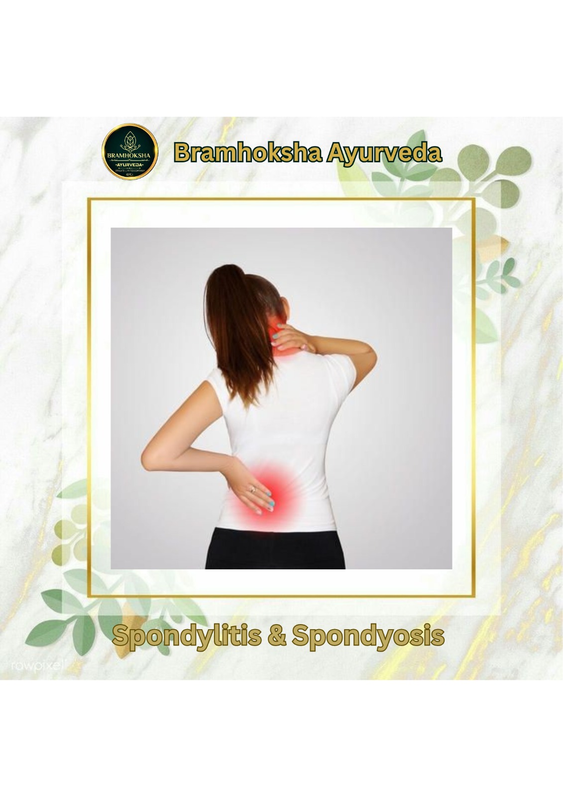 WhatsApp Image 2025-02-24 at 2.48.24 PM