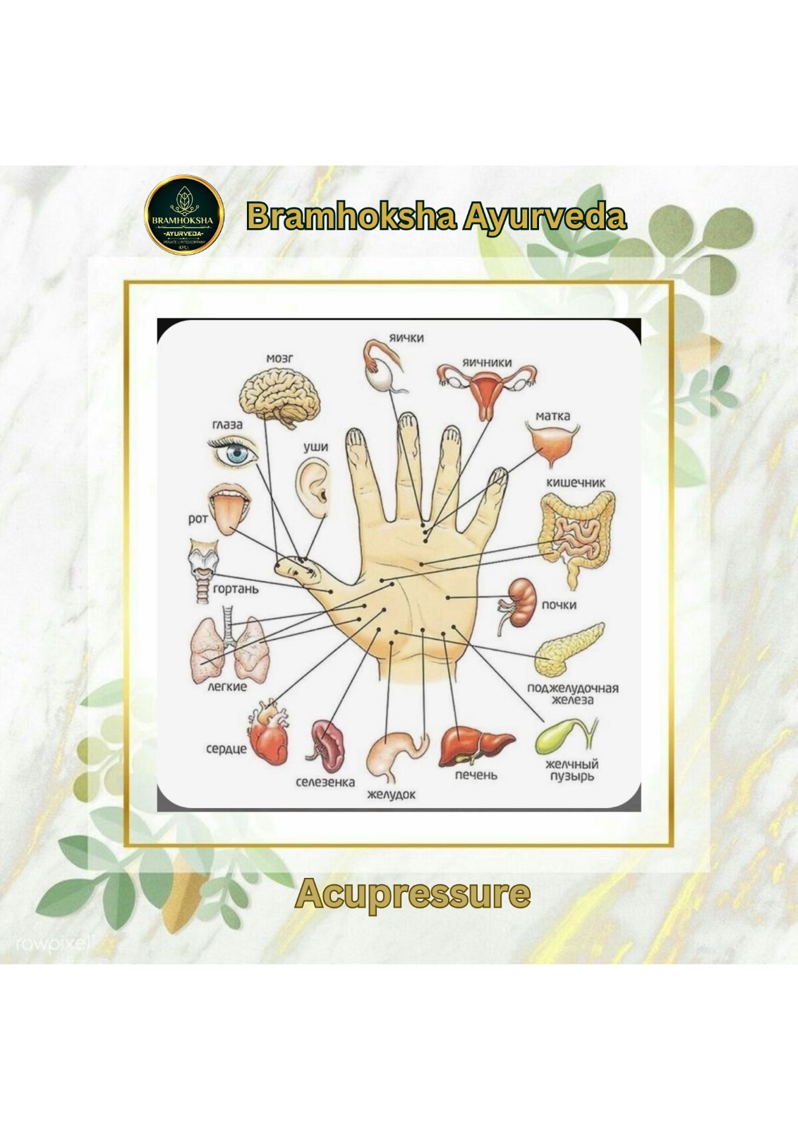 WhatsApp Image 2025-02-24 at 2.48.25 PM