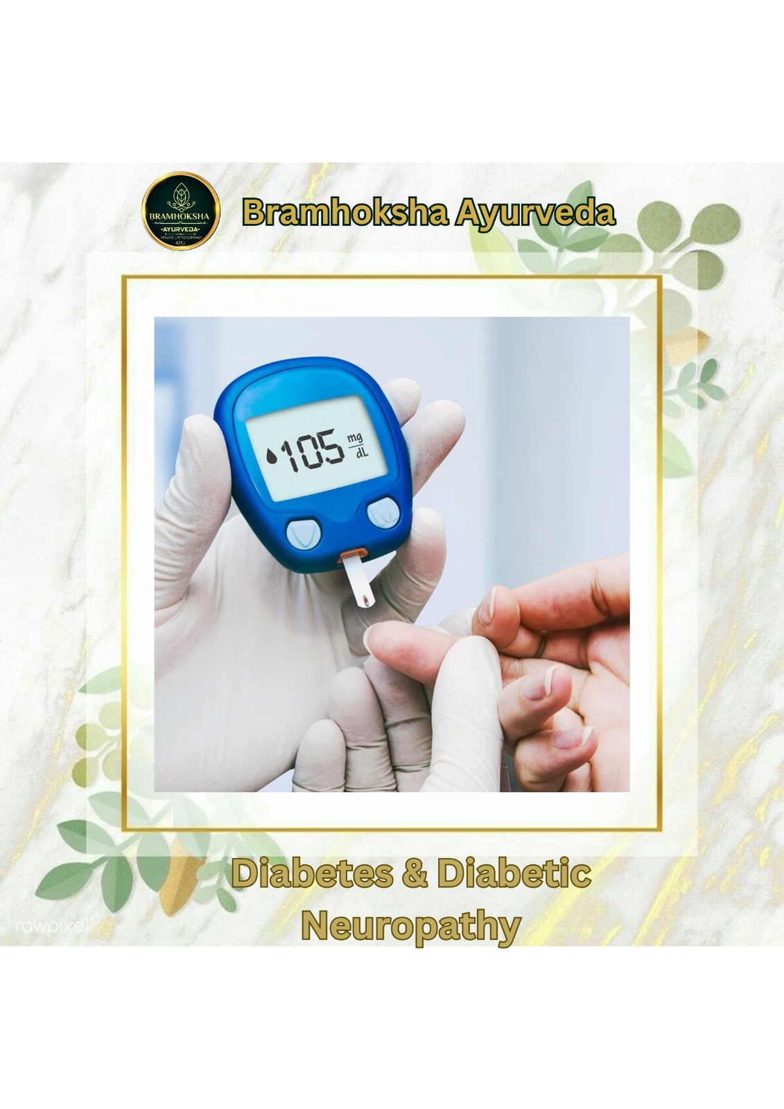 WhatsApp Image 2025-02-24 at 2.48.26 PM (1)