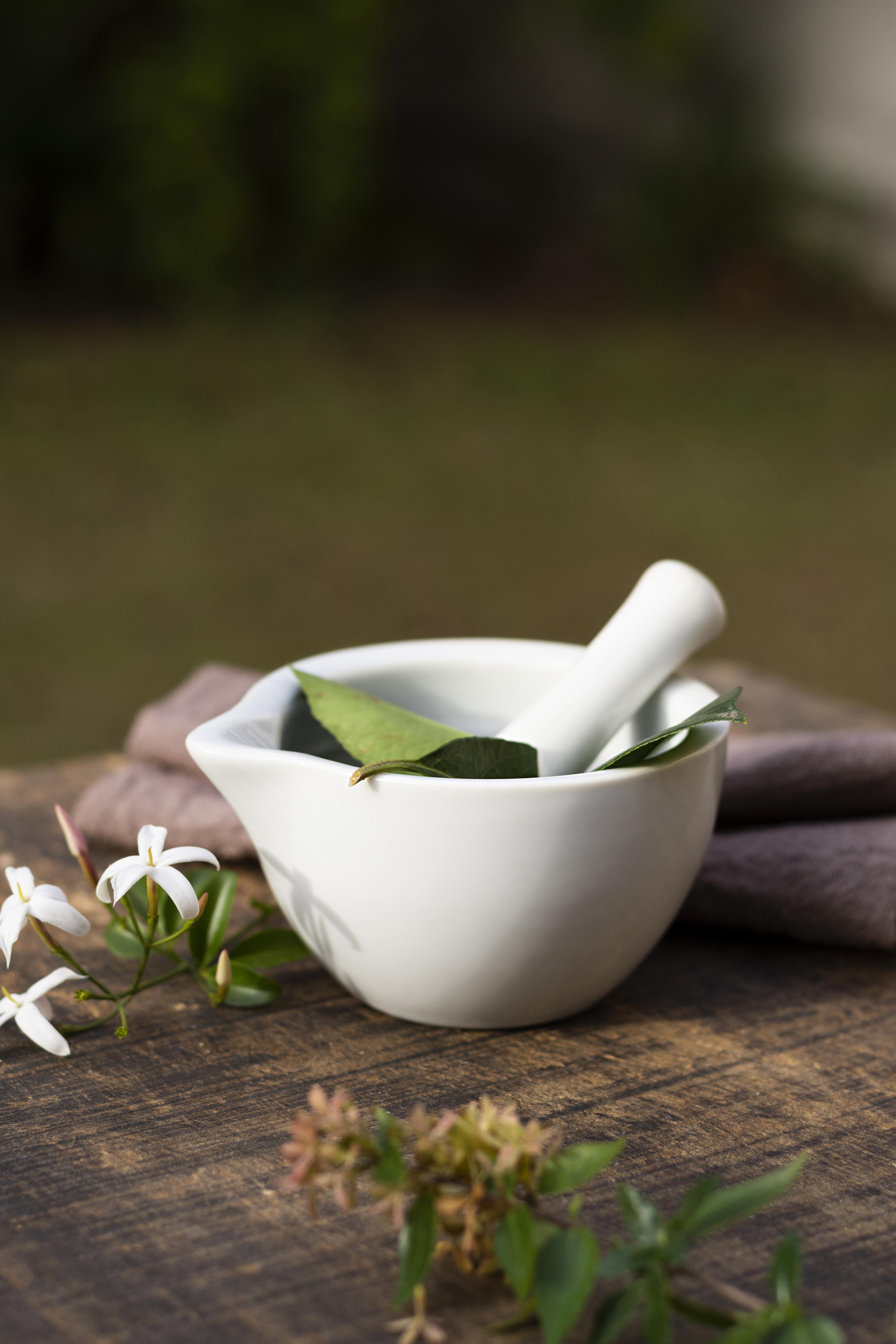 front-view-plants-bowl